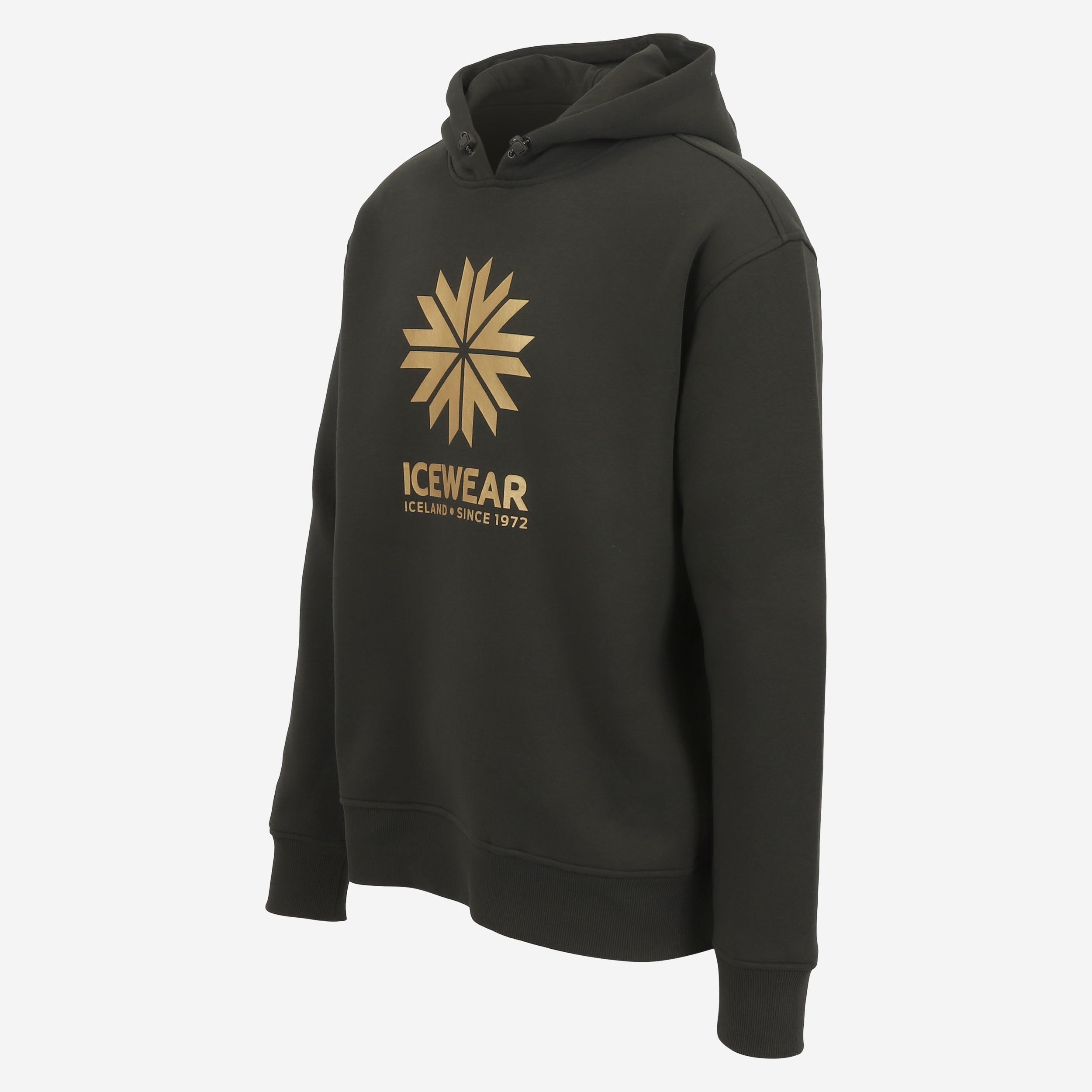 iceland-hoodie-cotton_lonsvik-anniversary-edition_40.jpeg